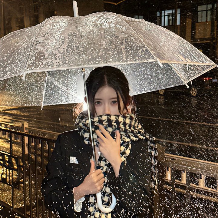 寻女朝圣路海报